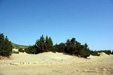 Night sky (full moon) with star trails near a beach in Elafonisos